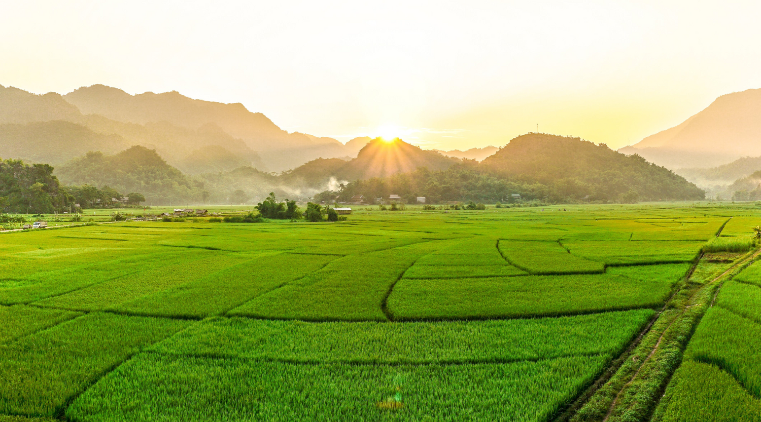 Feld mit Bergen und Sonnenaufgang im Hintergrund